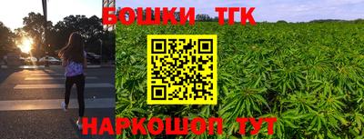 ECSTASY Камышлов
