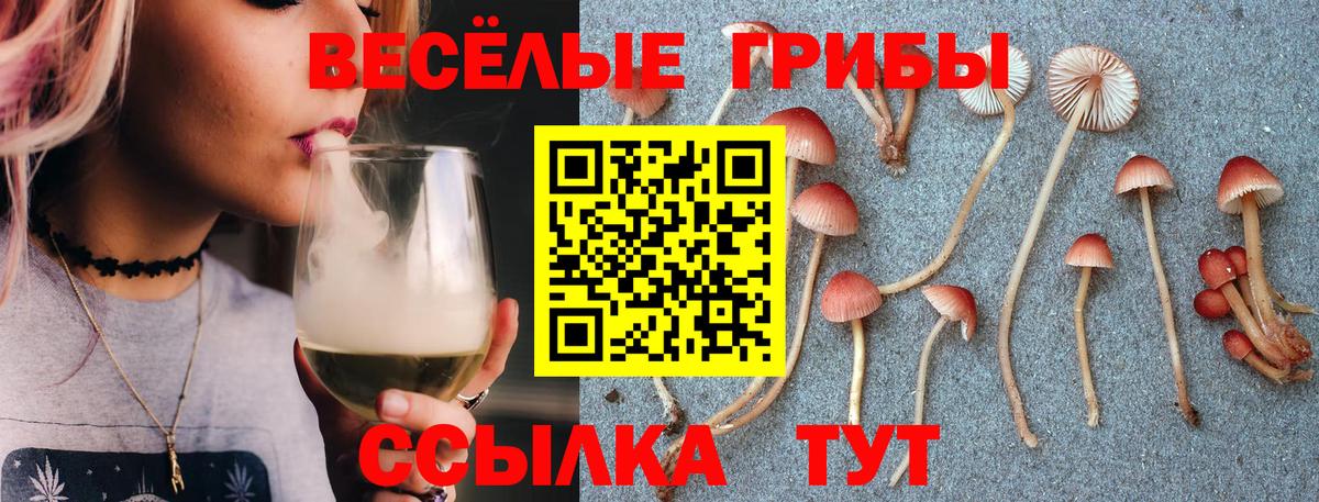 Псилоцибиновые грибы MAGIC MUSHROOMS Радужный