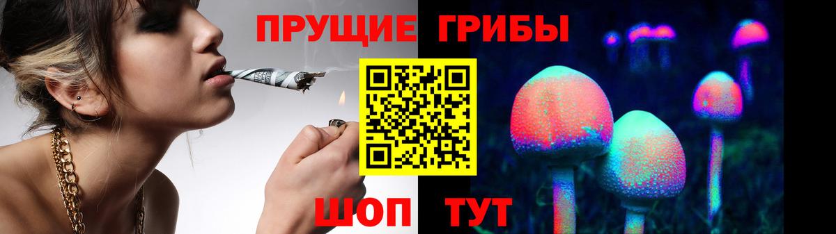 Радужный  Псилоцибиновые грибы Cubensis  Вход с VPN 
